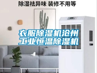 常見問題衣服除濕機滄州工業(yè)恒溫除濕機