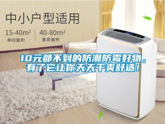 企業新聞10元都不到的防潮防霉好物，有了它讓你天天干爽舒適！