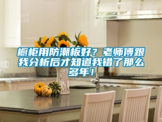 企業(yè)新聞櫥柜用防潮板好？老師傅跟我分析后才知道我錯了那么多年！