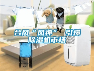 知識百科臺風(fēng)“風(fēng)神” 引爆除濕機市場