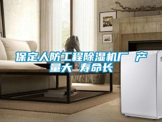 企業(yè)新聞保定人防工程除濕機(jī)廠 產(chǎn)量大 壽命長