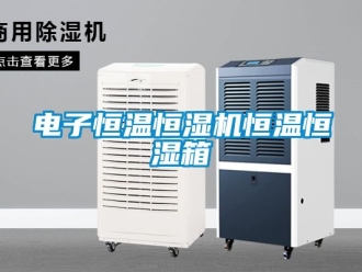 知識百科電子恒溫恒濕機恒溫恒濕箱