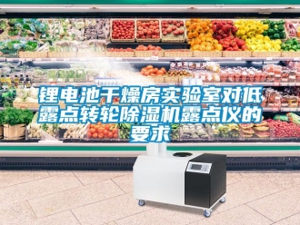 常見問題鋰電池干燥房實驗室對低露點轉輪除濕機露點儀的要求