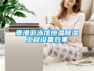 知識(shí)百科貴港游泳館恒溫除濕工程設(shè)備效果