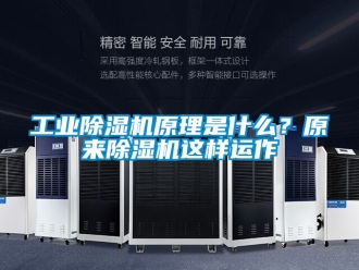 常見問題工業(yè)除濕機(jī)原理是什么？原來除濕機(jī)這樣運(yùn)作