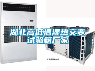 常見問題湖北高低溫濕熱交變試驗箱廠家