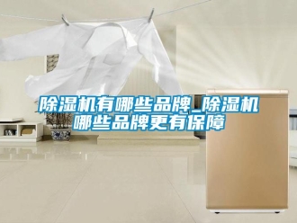 企業新聞除濕機有哪些品牌_除濕機哪些品牌更有保障