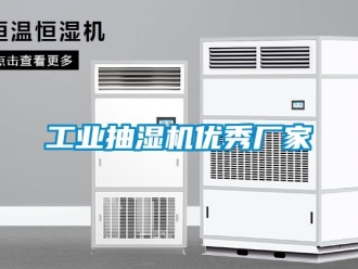 企業(yè)新聞工業(yè)抽濕機(jī)優(yōu)秀廠家