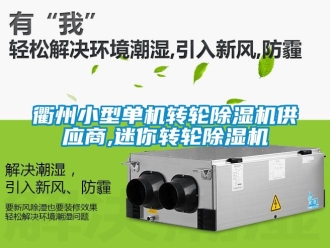 常見問題衢州小型單機轉(zhuǎn)輪除濕機供應商,迷你轉(zhuǎn)輪除濕機