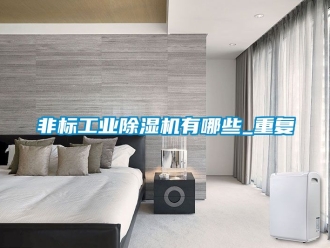 常見問題非標工業(yè)除濕機有哪些_重復(fù)