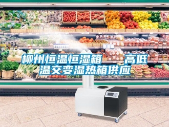 知識百科柳州恒溫恒濕箱   高低溫交變濕熱箱供應