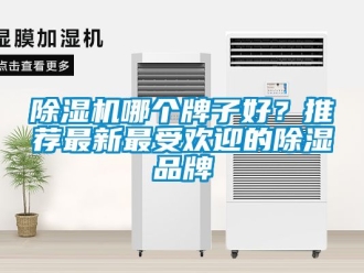 企業(yè)新聞除濕機哪個牌子好？推薦最新最受歡迎的除濕品牌