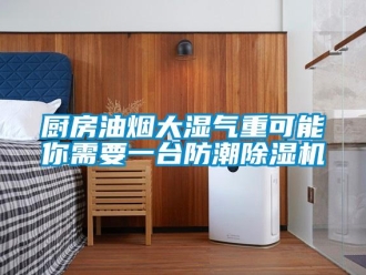 企業新聞廚房油煙大濕氣重可能你需要一臺防潮除濕機