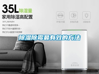 企業新聞除濕除霉最有效的方法