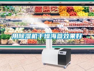 知識百科用除濕機干燥海參效果好