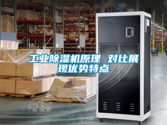 常見問題工業(yè)除濕機(jī)原理 對(duì)比展現(xiàn)優(yōu)勢(shì)特點(diǎn)