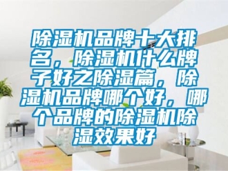 企業(yè)新聞除濕機(jī)品牌十大排名，除濕機(jī)什么牌子好之除濕篇，除濕機(jī)品牌哪個(gè)好，哪個(gè)品牌的除濕機(jī)除濕效果好