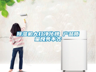 企業新聞除濕機大打凈化牌 產品質量良莠不齊