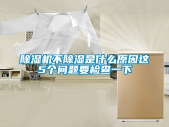 企業(yè)新聞除濕機(jī)不除濕是什么原因這5個(gè)問題要檢查一下