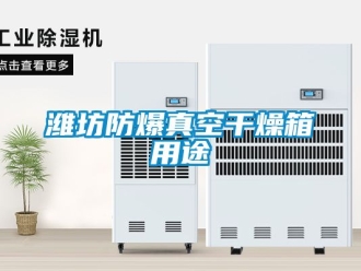 企業(yè)新聞濰坊防爆真空干燥箱用途