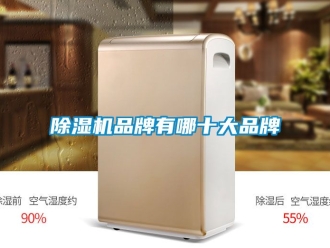 企業新聞除濕機品牌有哪十大品牌