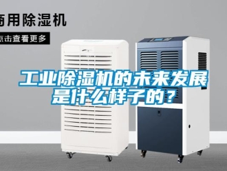 企業新聞工業除濕機的未來發展是什么樣子的？