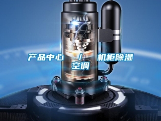 企業(yè)新聞產(chǎn)品中心  ／  機(jī)柜除濕空調(diào)
