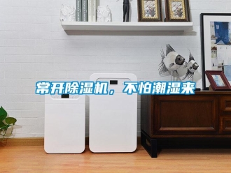 企業新聞常開除濕機，不怕潮濕來