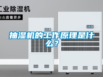企業新聞抽濕機的工作原理是什么？