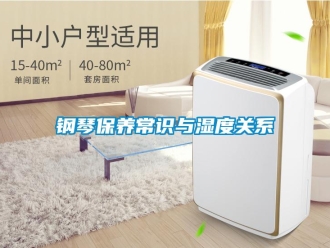 企業(yè)新聞鋼琴保養(yǎng)常識(shí)與濕度關(guān)系