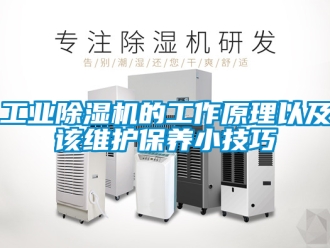 常見問題工業除濕機的工作原理以及該維護保養小技巧
