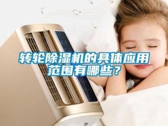 知識百科轉(zhuǎn)輪除濕機的具體應(yīng)用范圍有哪些？
