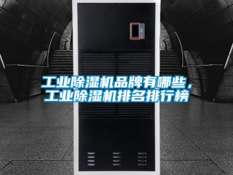 常見問題工業(yè)除濕機(jī)品牌有哪些，工業(yè)除濕機(jī)排名排行榜