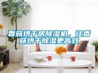 知識百科香菇烘干房除濕機，讓香菇烘干除濕更高效