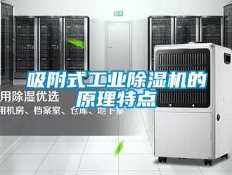 知識(shí)百科吸附式工業(yè)除濕機(jī)的原理特點(diǎn)
