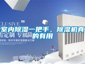 知識百科室內除濕一把手，除濕機真的有用