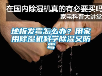 常見問題地板發霉怎么辦？用家用除濕機科學除濕又防霉