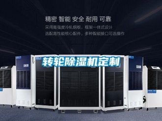 知識百科轉輪除濕機定制