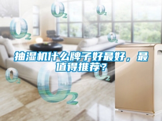 企業(yè)新聞抽濕機(jī)什么牌子好最好，最值得推薦？