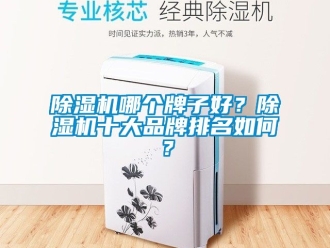 企業新聞除濕機哪個牌子好？除濕機十大品牌排名如何？