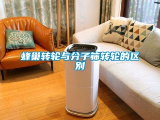常見問題蜂巢轉輪與分子篩轉輪的區別