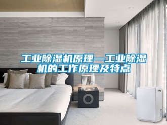常見問題工業(yè)除濕機(jī)原理—工業(yè)除濕機(jī)的工作原理及特點(diǎn)