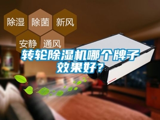 常見問題轉輪除濕機哪個牌子效果好？