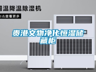 知識(shí)百科貴港文物凈化恒濕儲(chǔ)藏柜