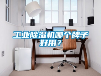 常見問題工業(yè)除濕機(jī)哪個牌子好用？