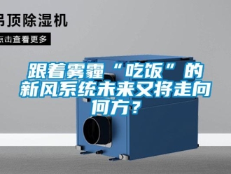 企業新聞跟著霧霾“吃飯”的新風系統未來又將走向何方？