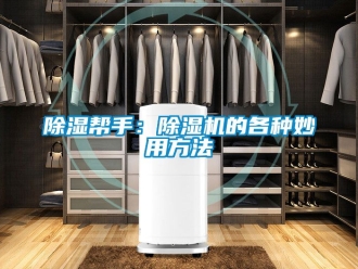 企業(yè)新聞除濕幫手：除濕機(jī)的各種妙用方法
