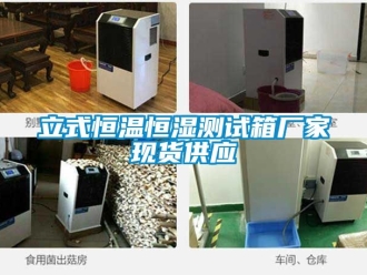 知識百科立式恒溫恒濕測試箱廠家現(xiàn)貨供應