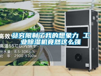 常見問題貧窮限制了我的想象力 工業(yè)除濕機竟然這么強