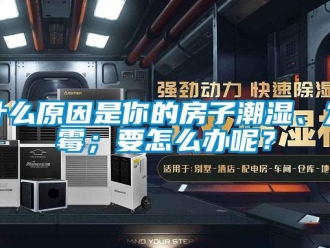 常見問題什么原因是你的房子潮濕、發(fā)霉；要怎么辦呢？